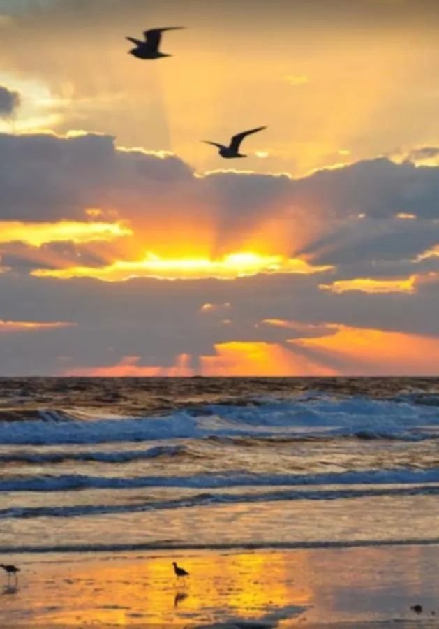 Dolphin House With Private Pool And Near Beach Panama City Beach Semesterbostad